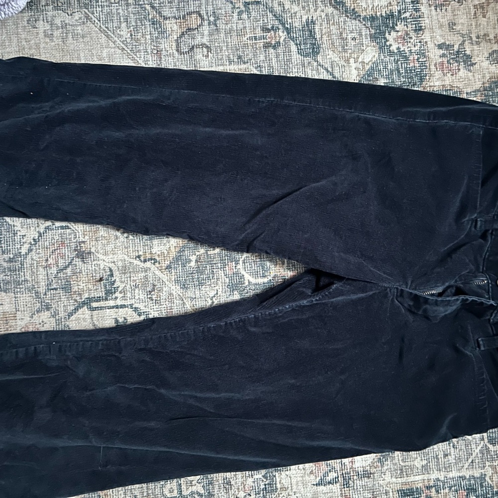 Banana Republic Midnight Trousers